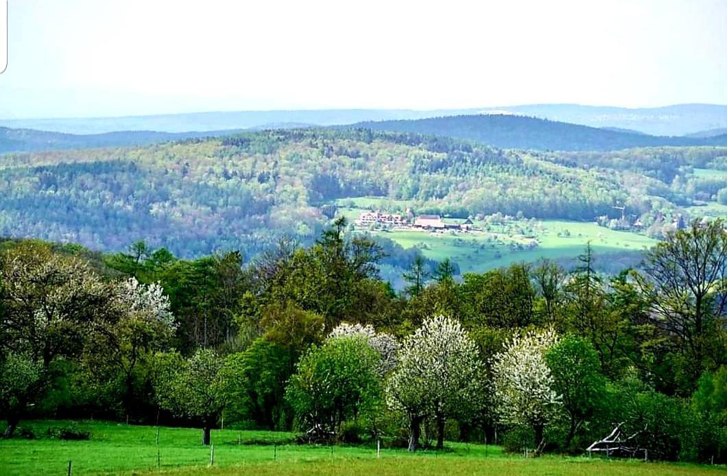 Geishoehe Landgasthof Rose Dammbach Dış mekan fotoğraf